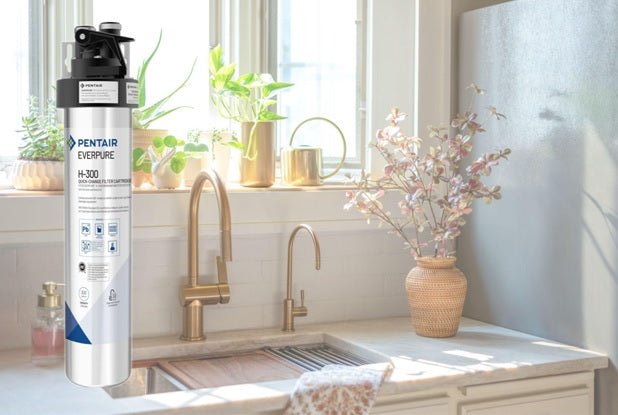 Why the Everpure H 300 Is the Perfect Filtration System for Families